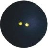 DUNLOP Pro Squash Balls (Double Spot) (Set Of 3)