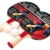 Butterfly Elite Outdoor Table Tennis Table -Ball Sports Shop MS3000 bats 3 balls