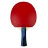 Butterfly Timo Boll Sapphire Table Tennis Bat -Ball Sports Shop butterfly timo boll sapphire 1