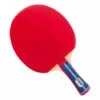 Gewo Standard League Table Tennis Bat 1 Gewo Standard League Table Tennis Bat -Ball Sports Shop g Gewo Standard League Bat