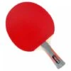 Gewo Carat ITTF Approved Table Tennis Bat