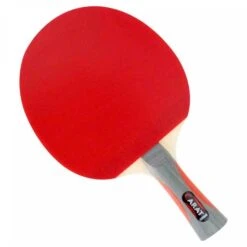 Gewo Carat ITTF Approved Table Tennis Bat
