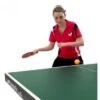 Butterfly PRACTICE PARTNER - 20 Robot -Ball Sports Shop partner 20 image